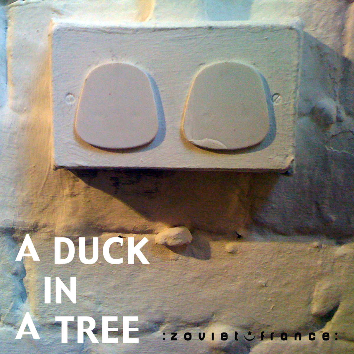 A Duck in a Tree 2012-12-15 | The Owl Hoots Three Times