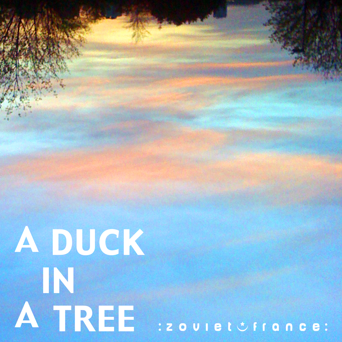 A Duck in a Tree 2012-12-29 | To the Other Side Through the Eye of Tomorrow
