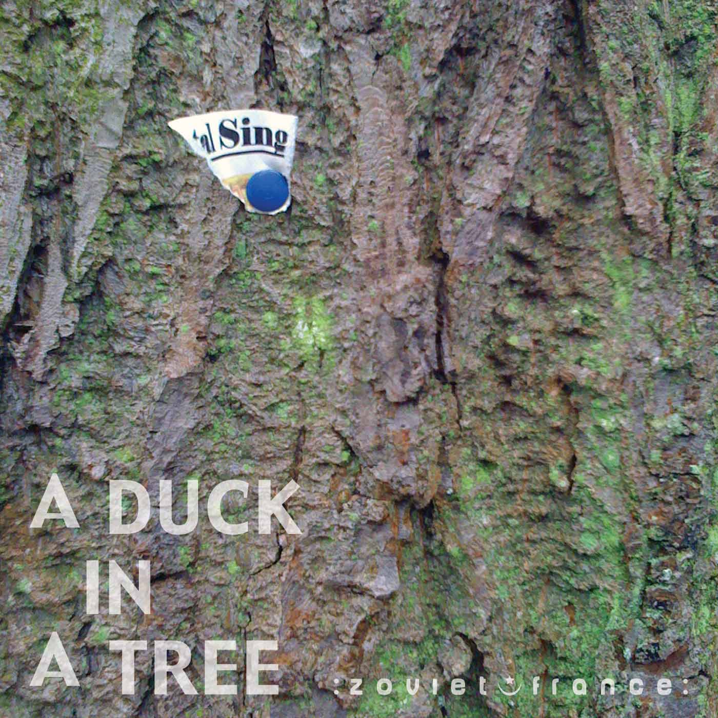 A Duck in a Tree 2013-03-09 | The Moment Before the Word