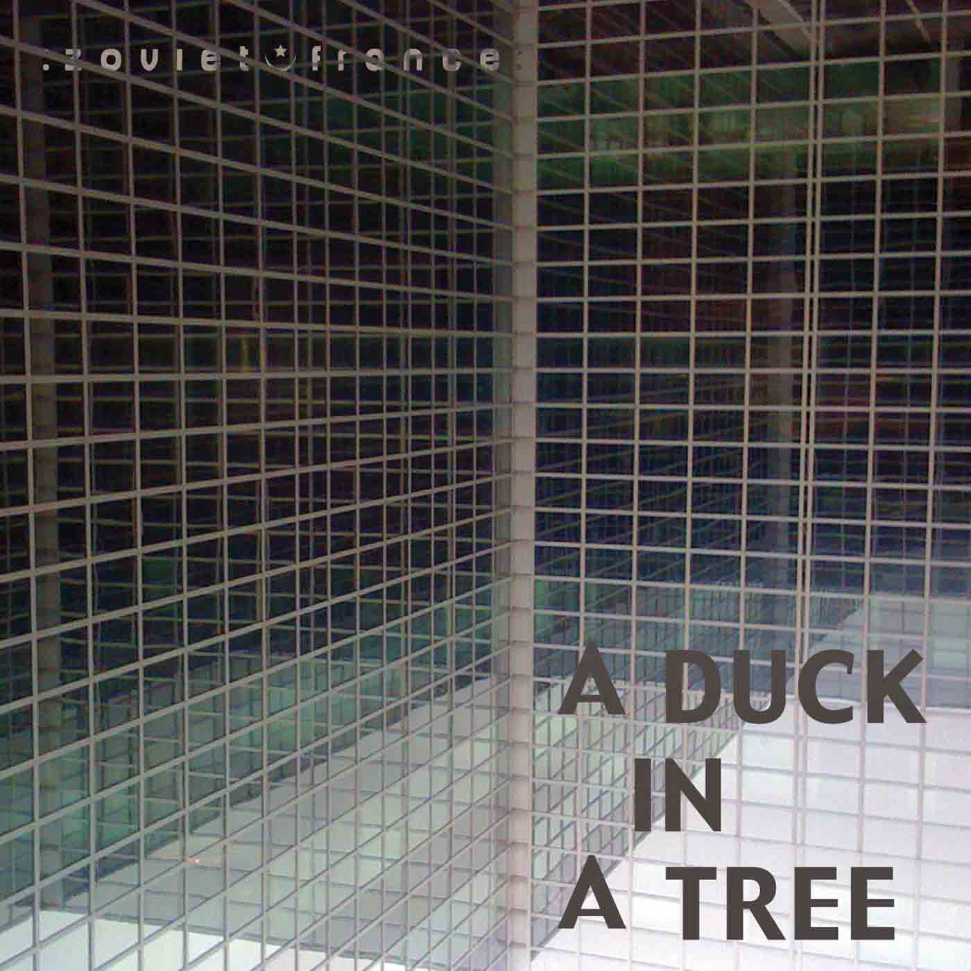 A Duck in a Tree 2013-04-27 | And Then It Happened