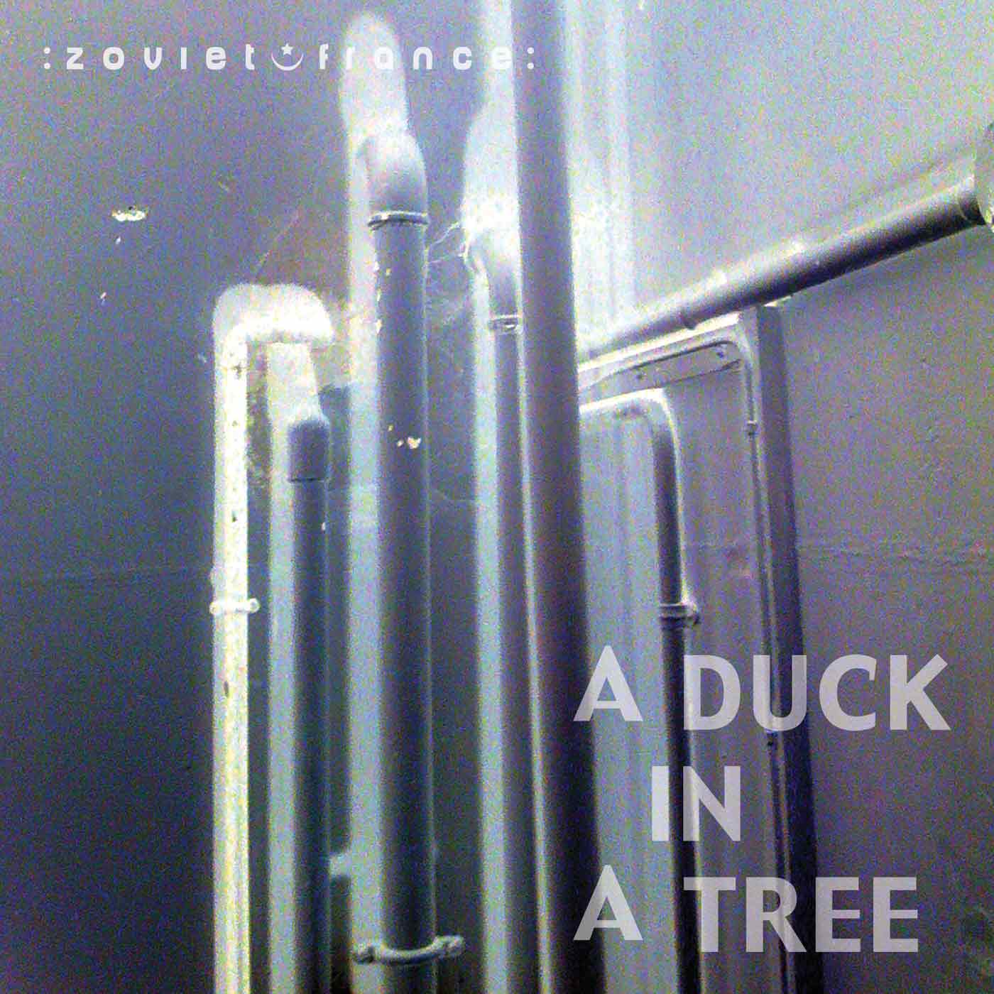 A Duck in a Tree 2013-06-08 | Some Stones Unturned