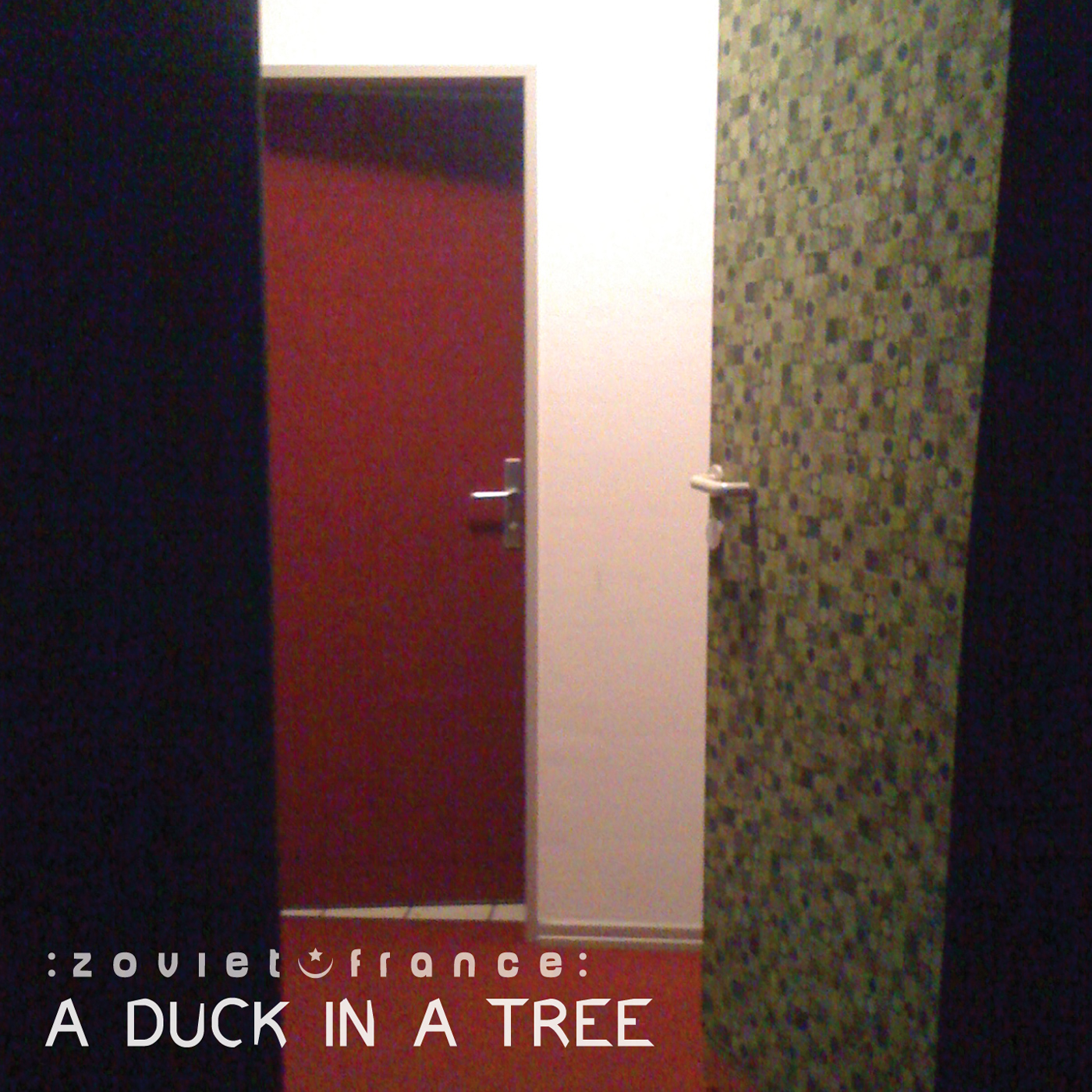 A Duck in a Tree 2013-07-13 | About an Hour Ago