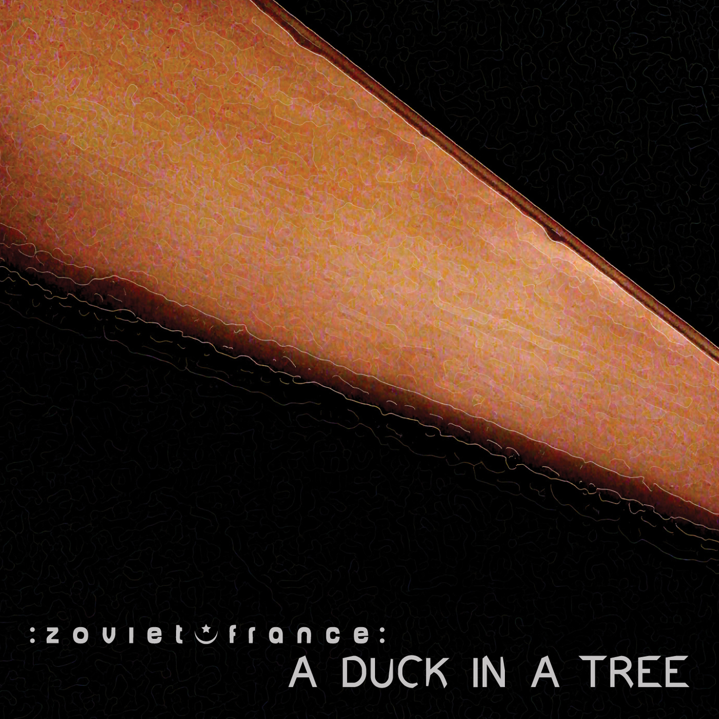 A Duck in a Tree 2013-08-17 | Cut Concrète