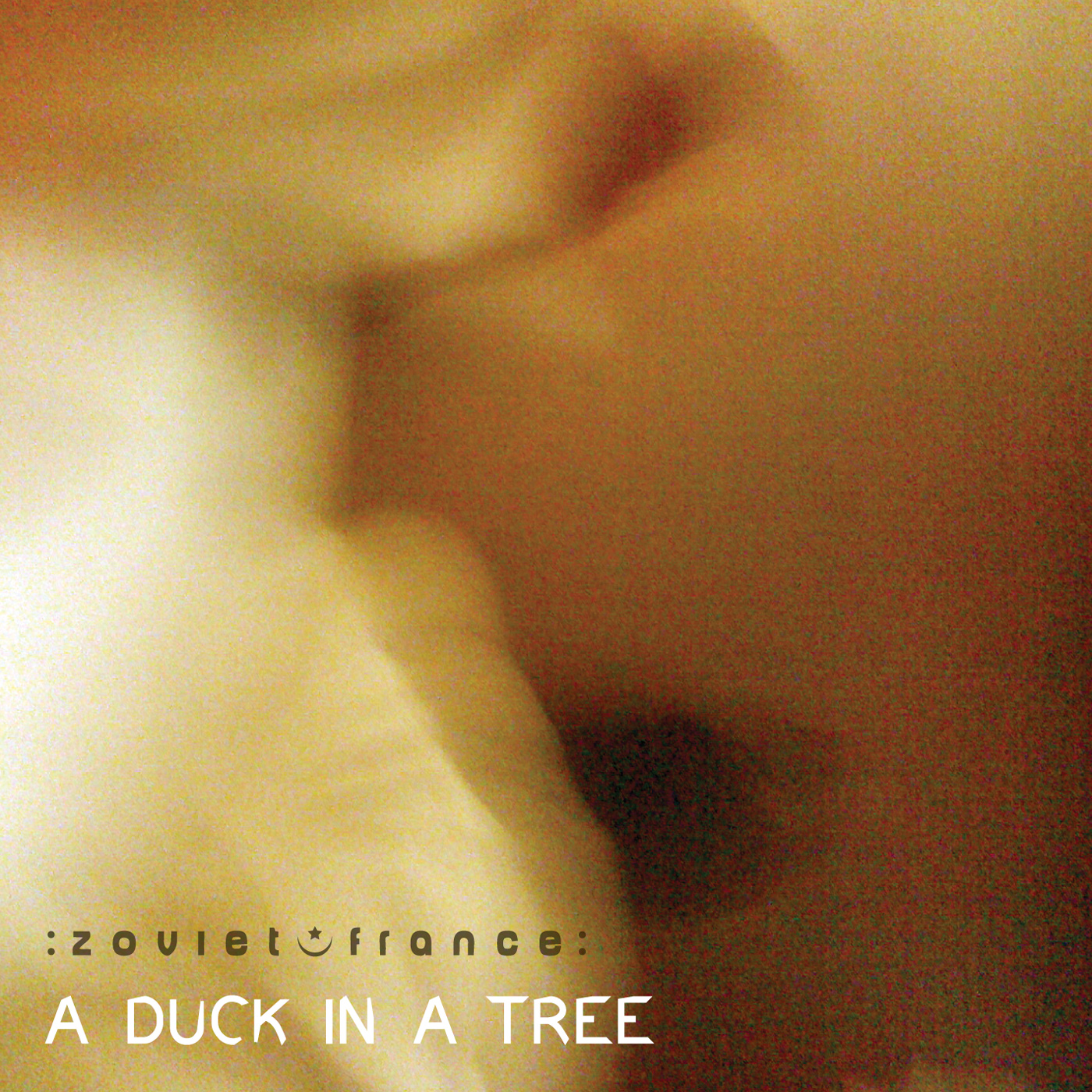 A Duck in a Tree 2013-09-28 | The Dance of Kisses and the Sun