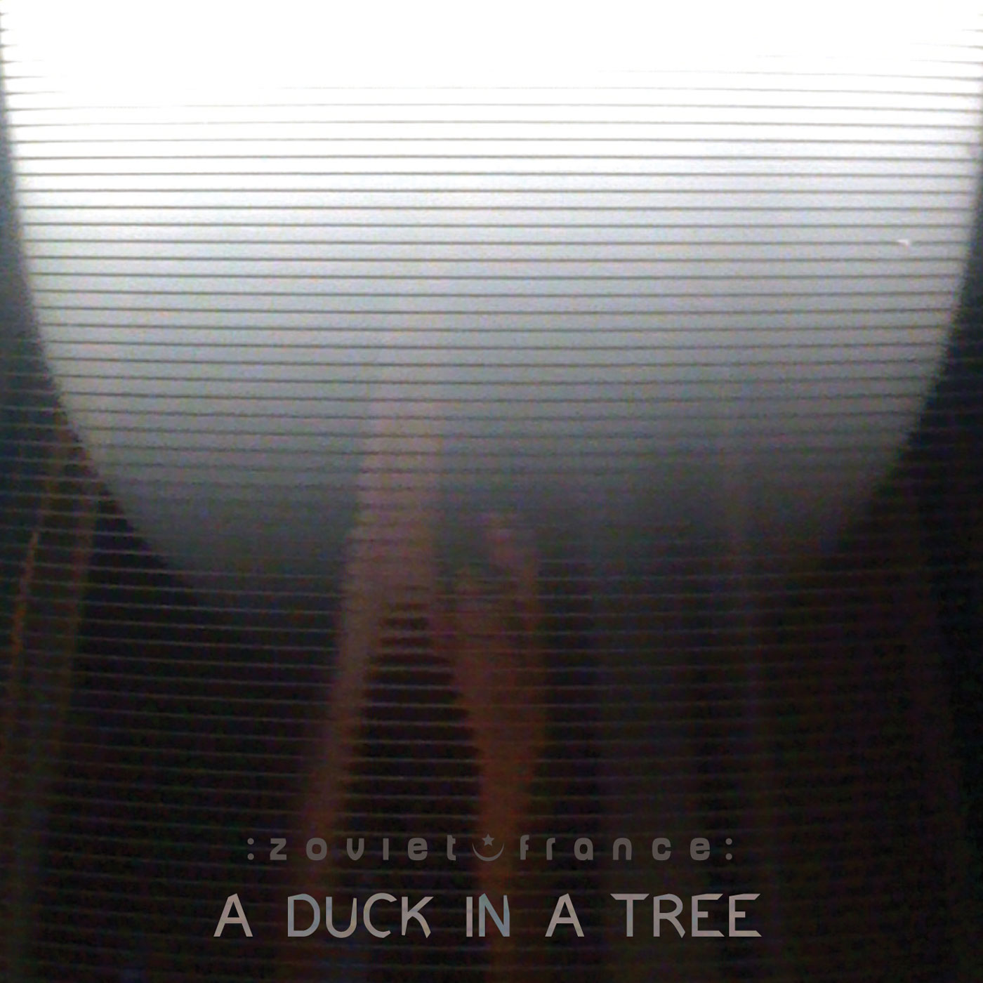 A Duck in a Tree 2013-11-30 | The Extraordinary Rendition of Heaven