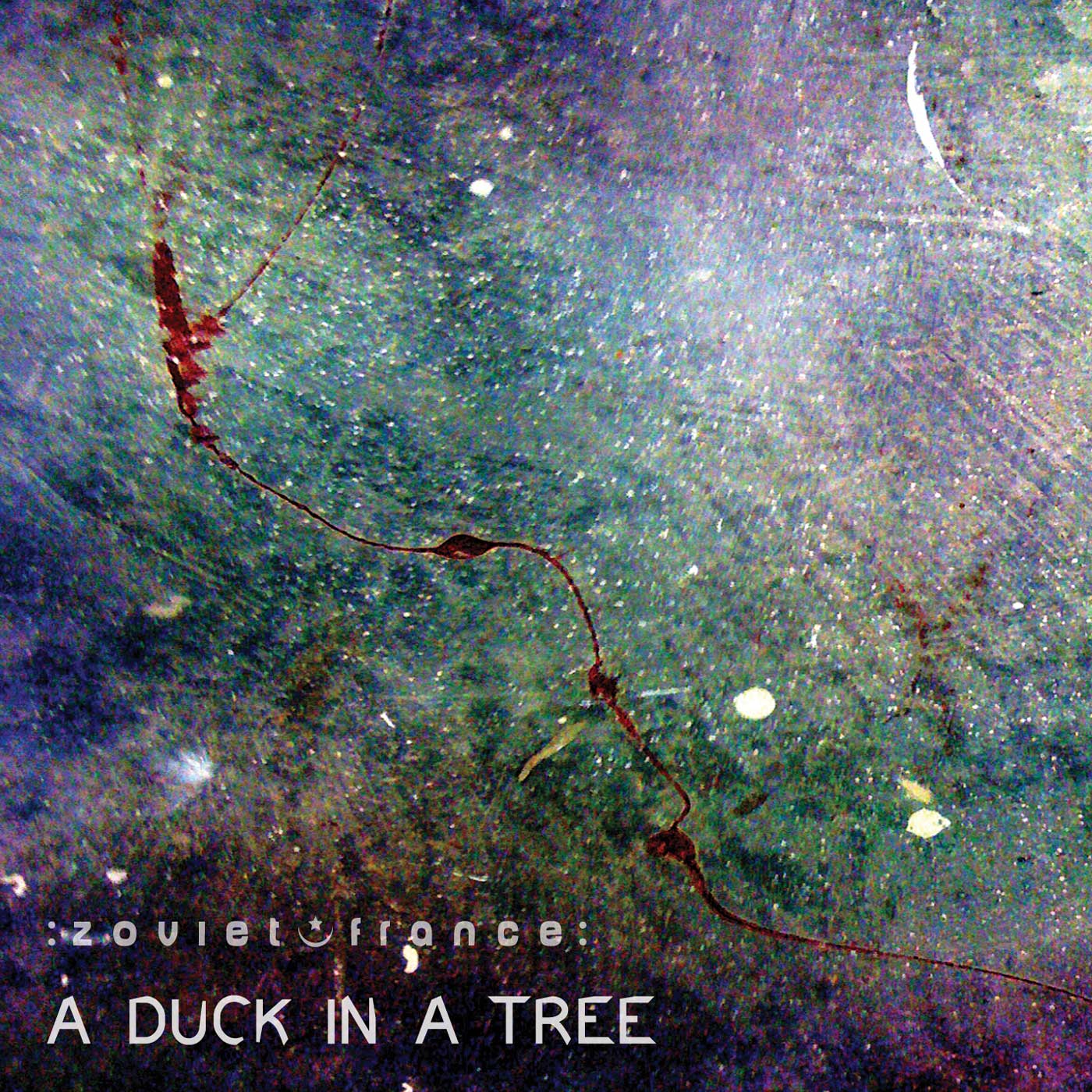 A Duck in a Tree 2013-12-07 | The Celestial Roar