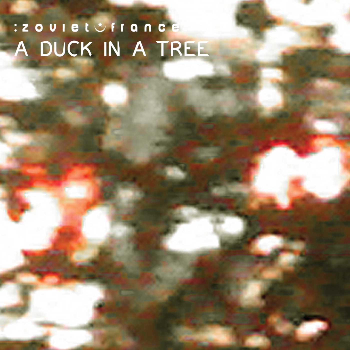 A Duck in a Tree 2014 -02-15 | Insulated within Grasp