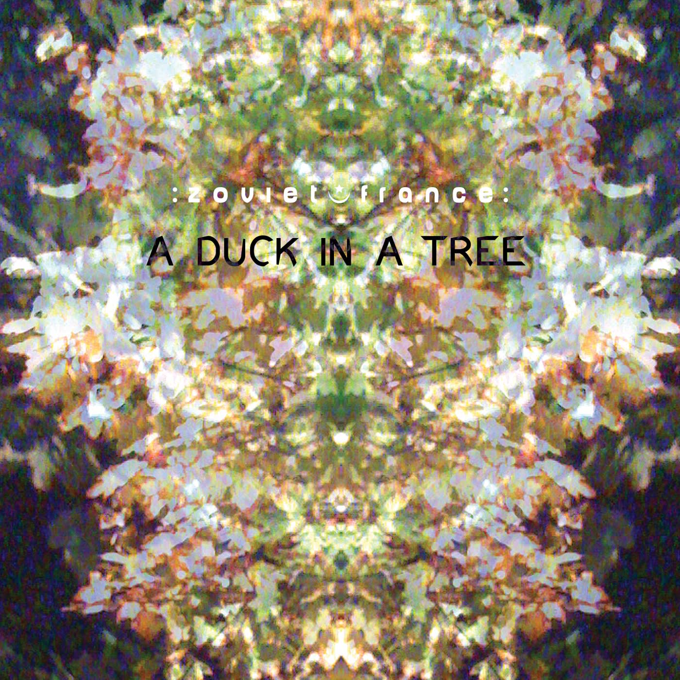 A Duck in a Tree 2014-01-04 | One Pierced Moment