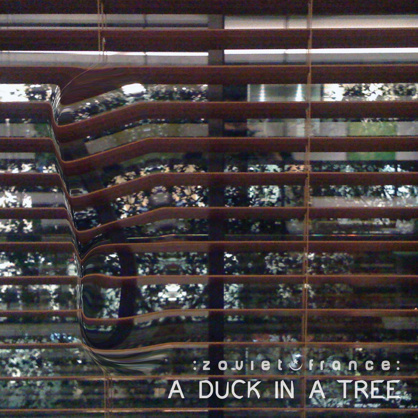 A Duck in a Tree 2014-01-11 | An Inconsistency in the Discontinuity
