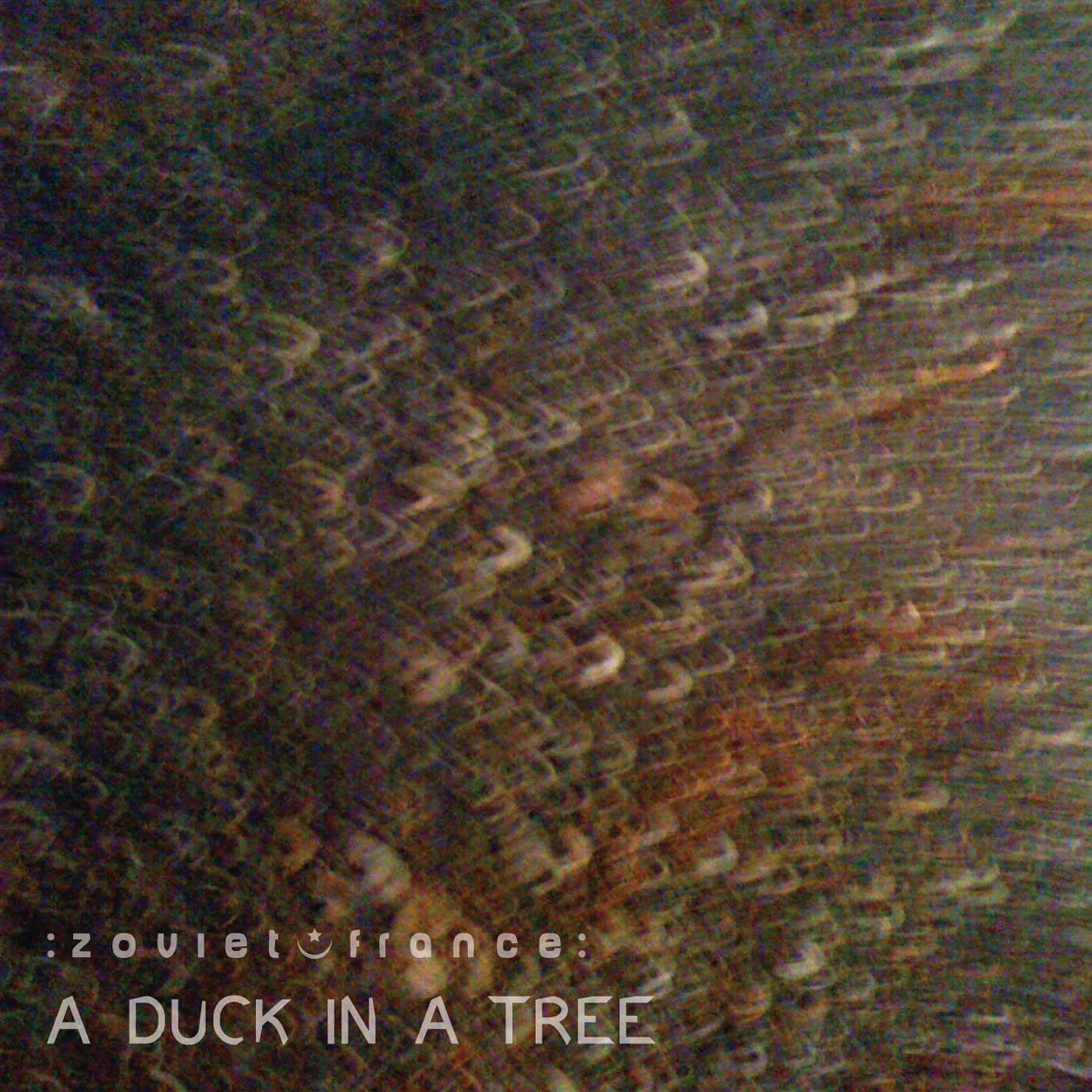 A Duck in a Tree 2014-01-18 | Siphoning Rocks with Bent Knots