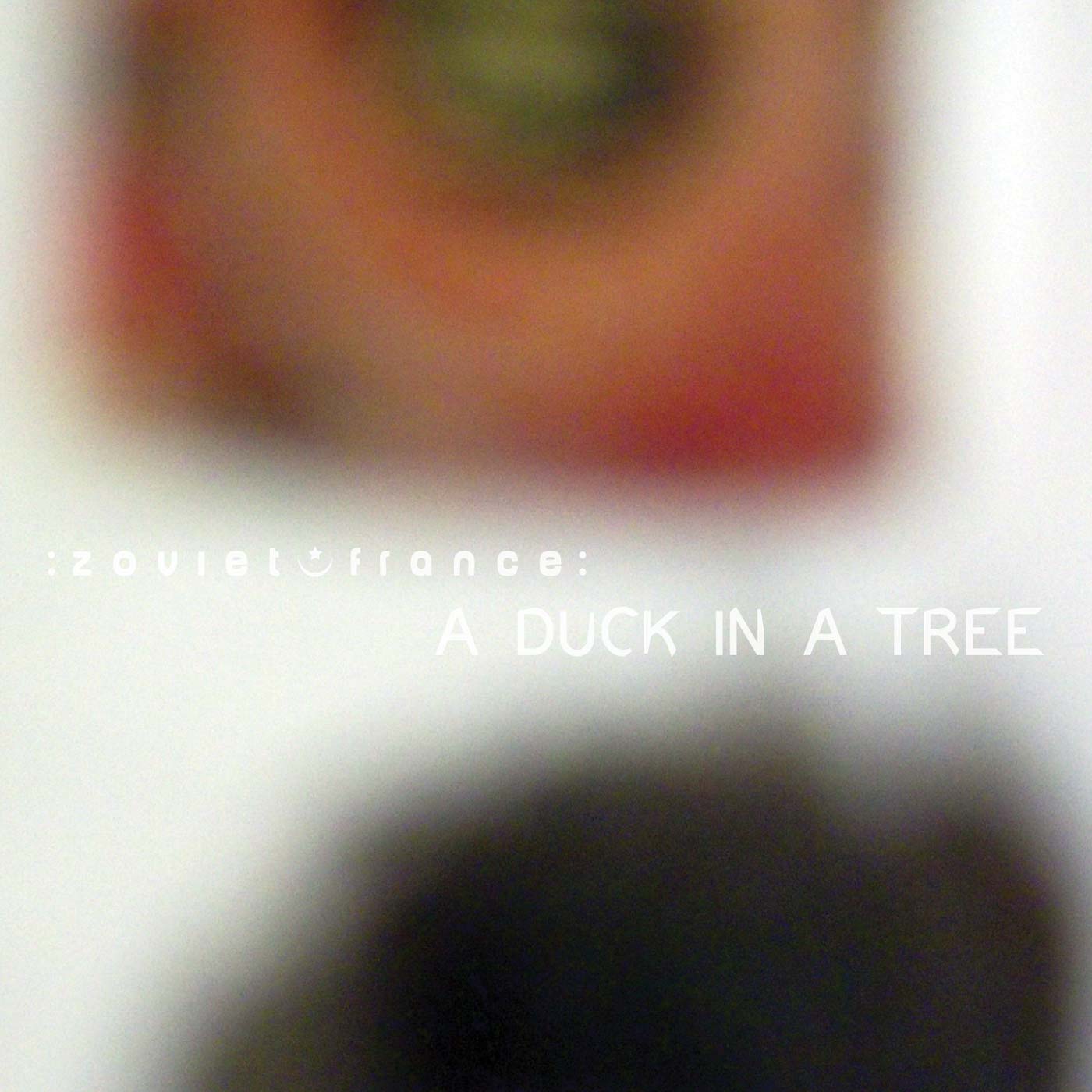 A Duck in a Tree 2014-03-08 | Between Voluminous Atmospheres