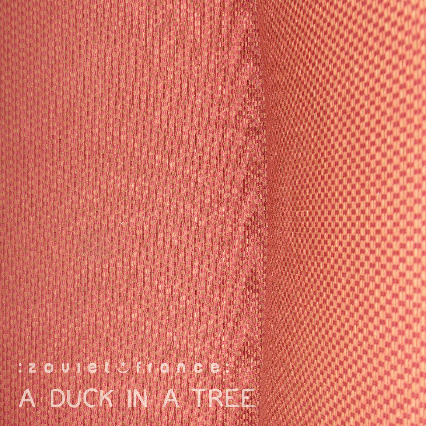 A Duck in a Tree 2014-04-12 | Between the Felt and the Imagined