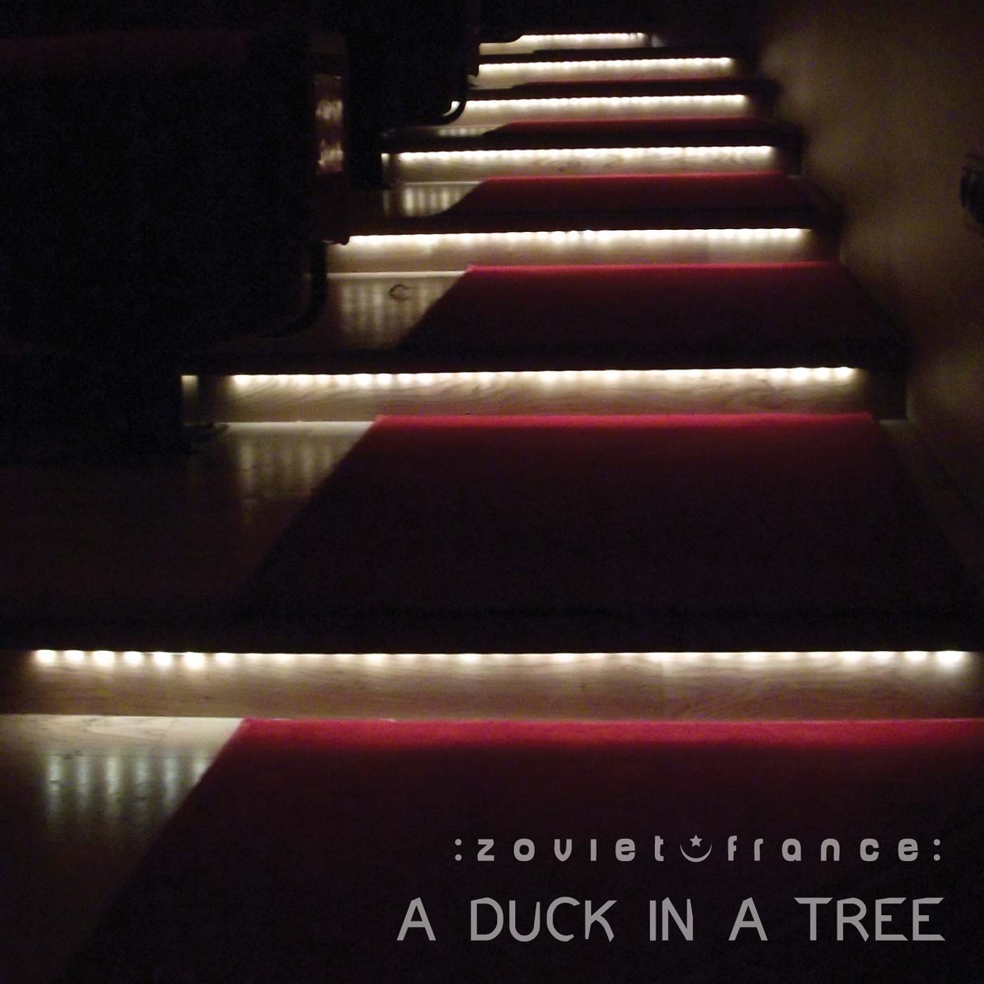 A Duck in a Tree 2014-04-26 | A Perforated History