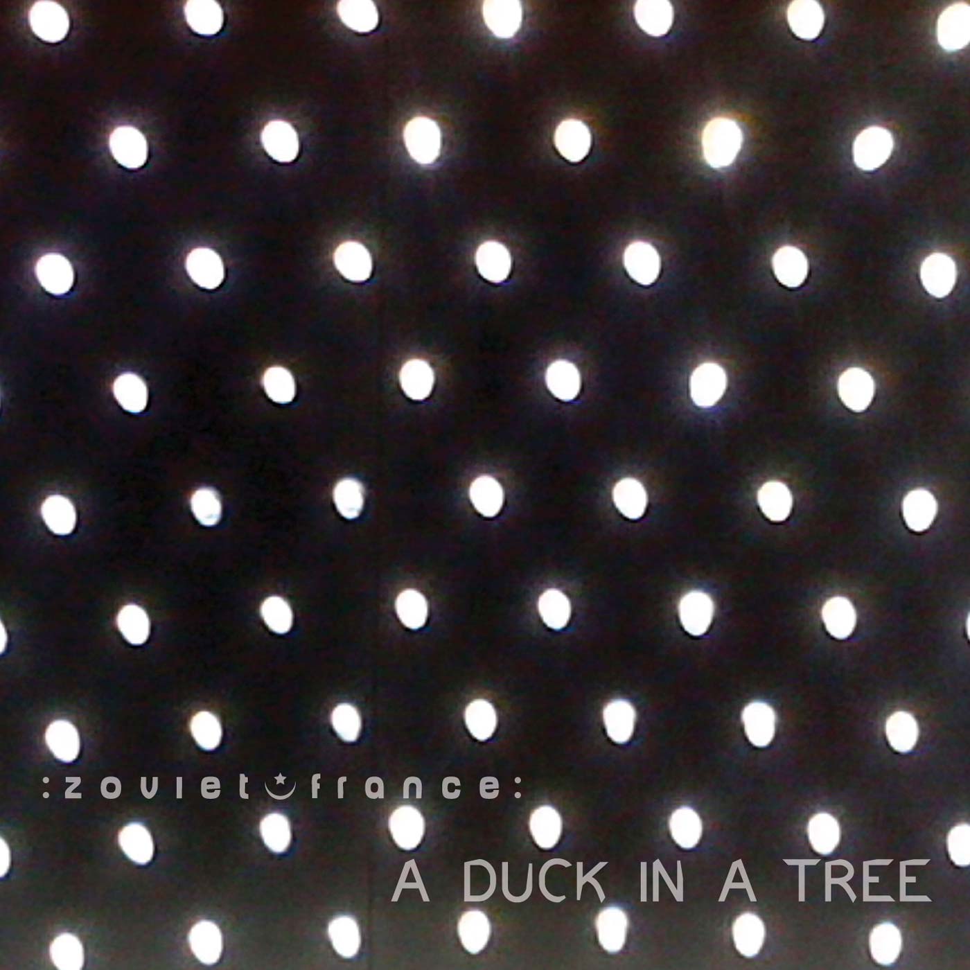 A Duck in a Tree 2014-05-10 | A Broken Stare