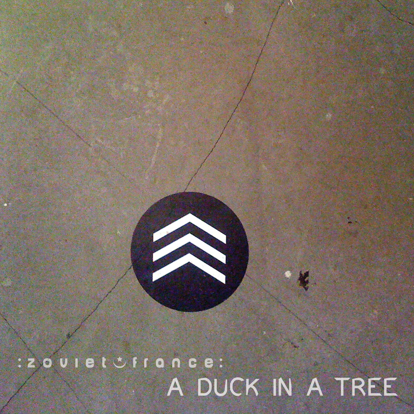 A Duck in a Tree 2014-05-17 | Of Time Set Free