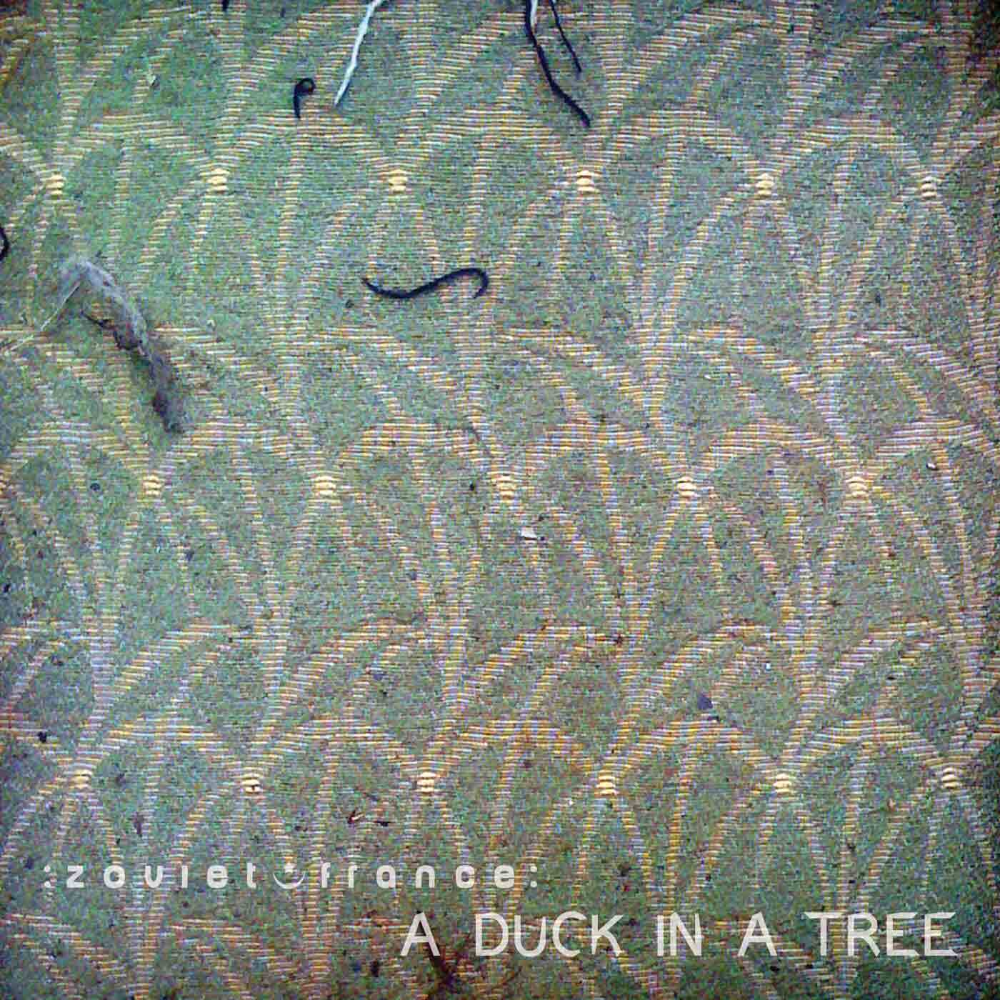 A Duck in a Tree