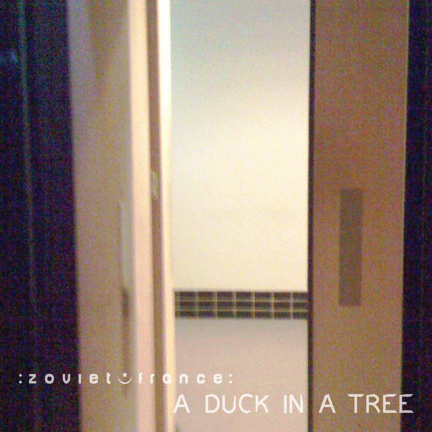 A Duck in a Tree 2014-06-14 | Blind Bit of Notice