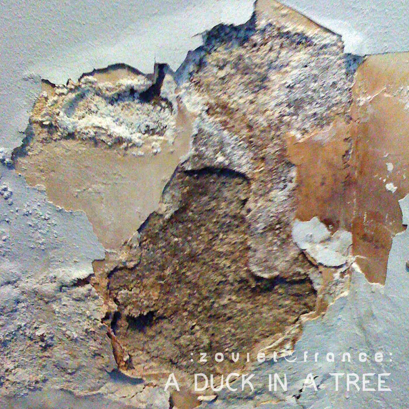 A Duck in a Tree 2014-06-21 | The Measurement of Echoes with Powder