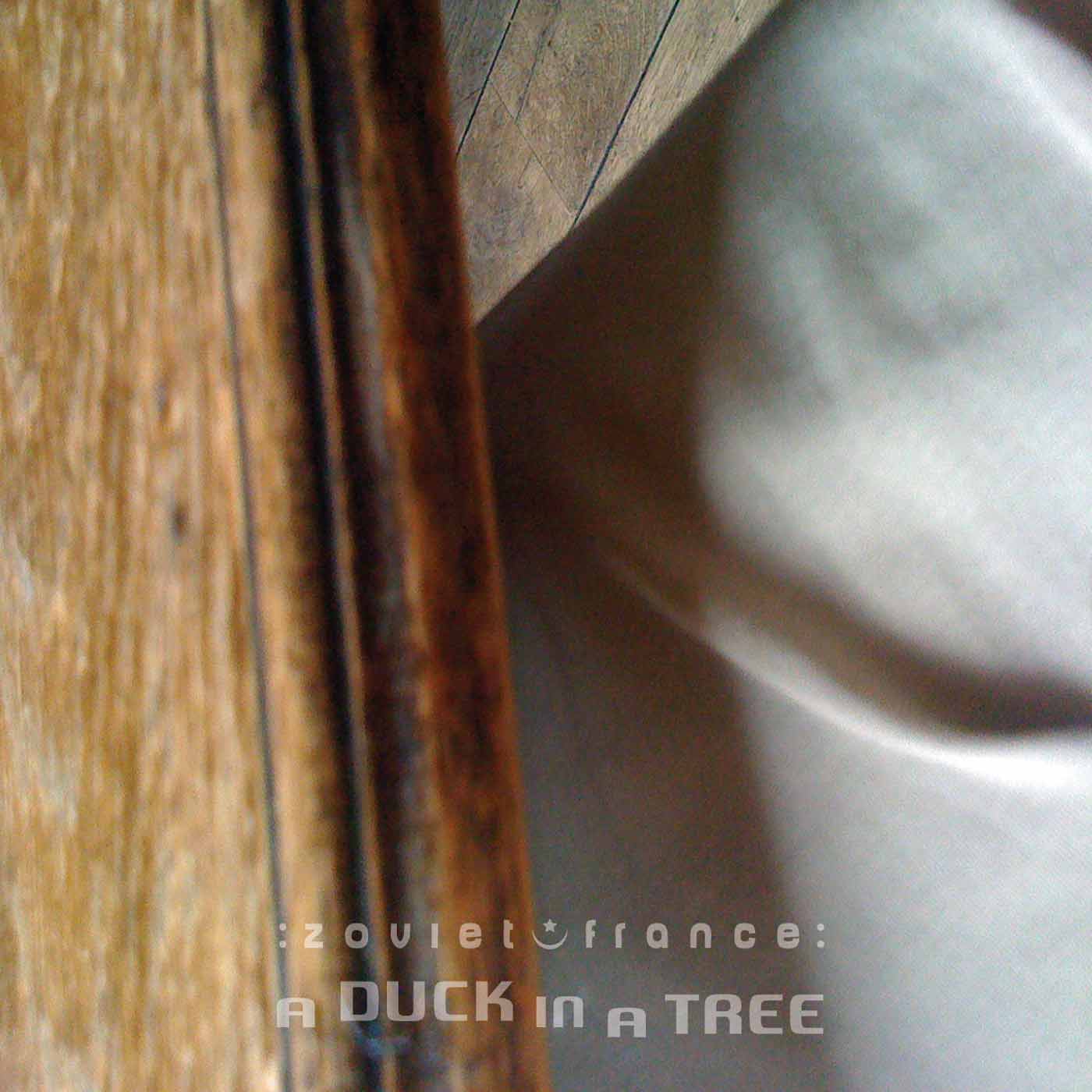 A Duck in a Tree 2014-07-19 | Within the Booming Wind