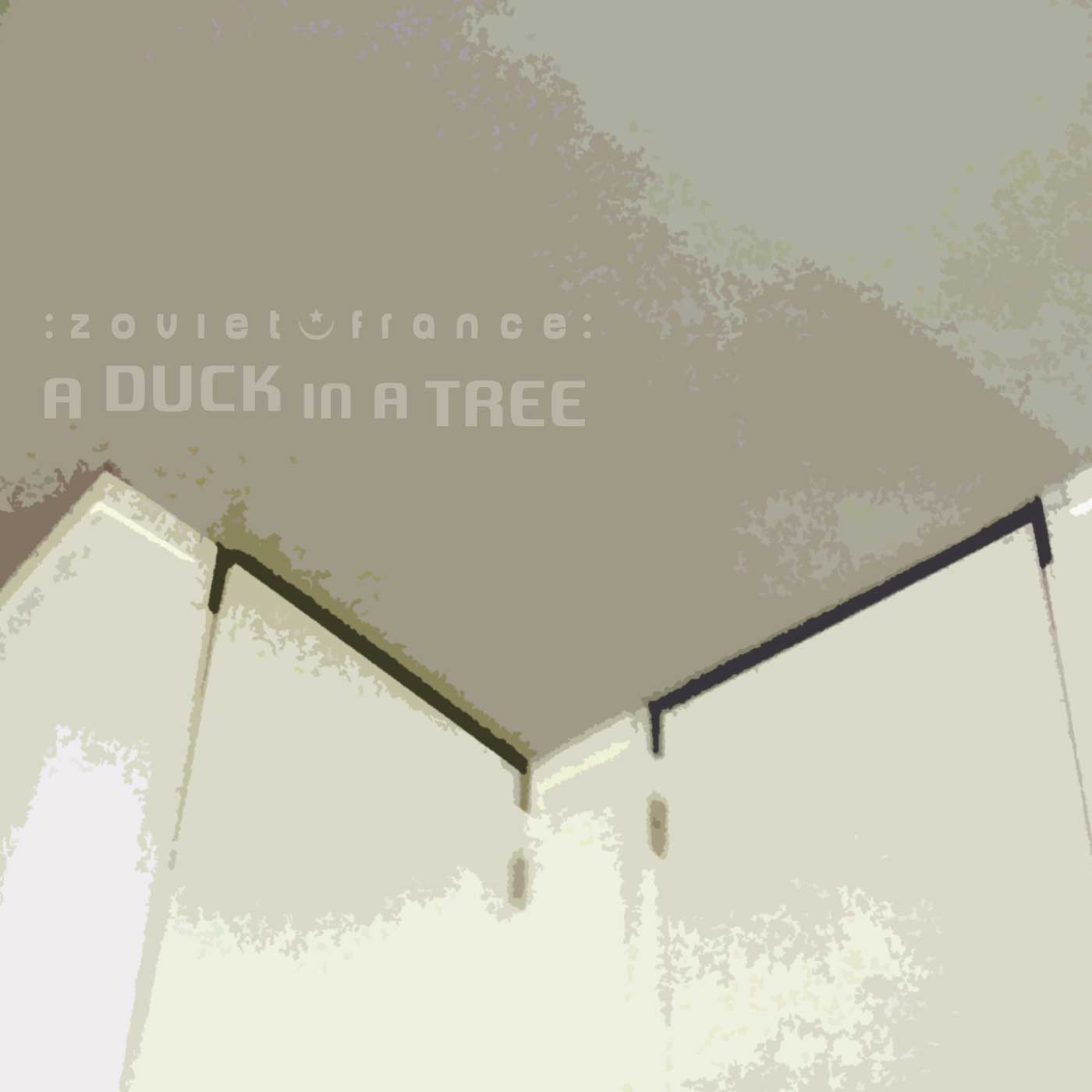 A Duck in a Tree 2014-08-30 | 13 Days of Lightning