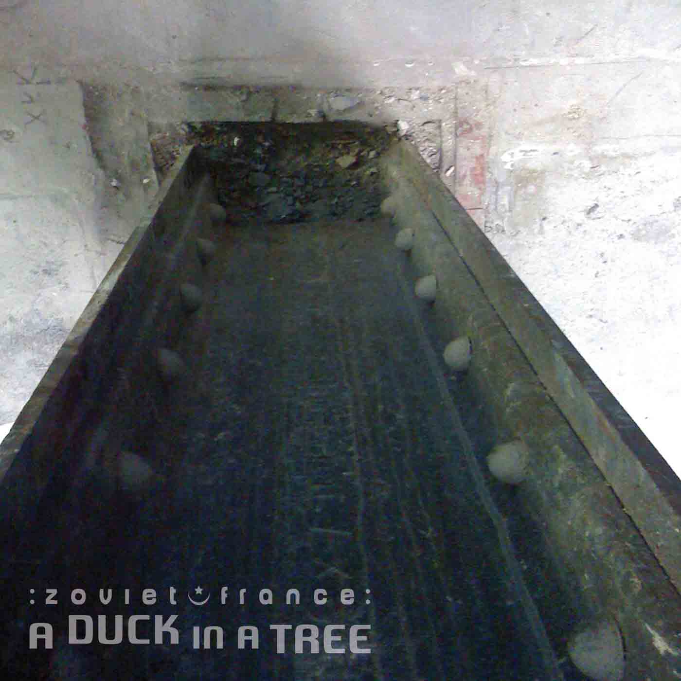A Duck in a Tree 2014-09-27 | Waist High, Waist Deep and No Further
