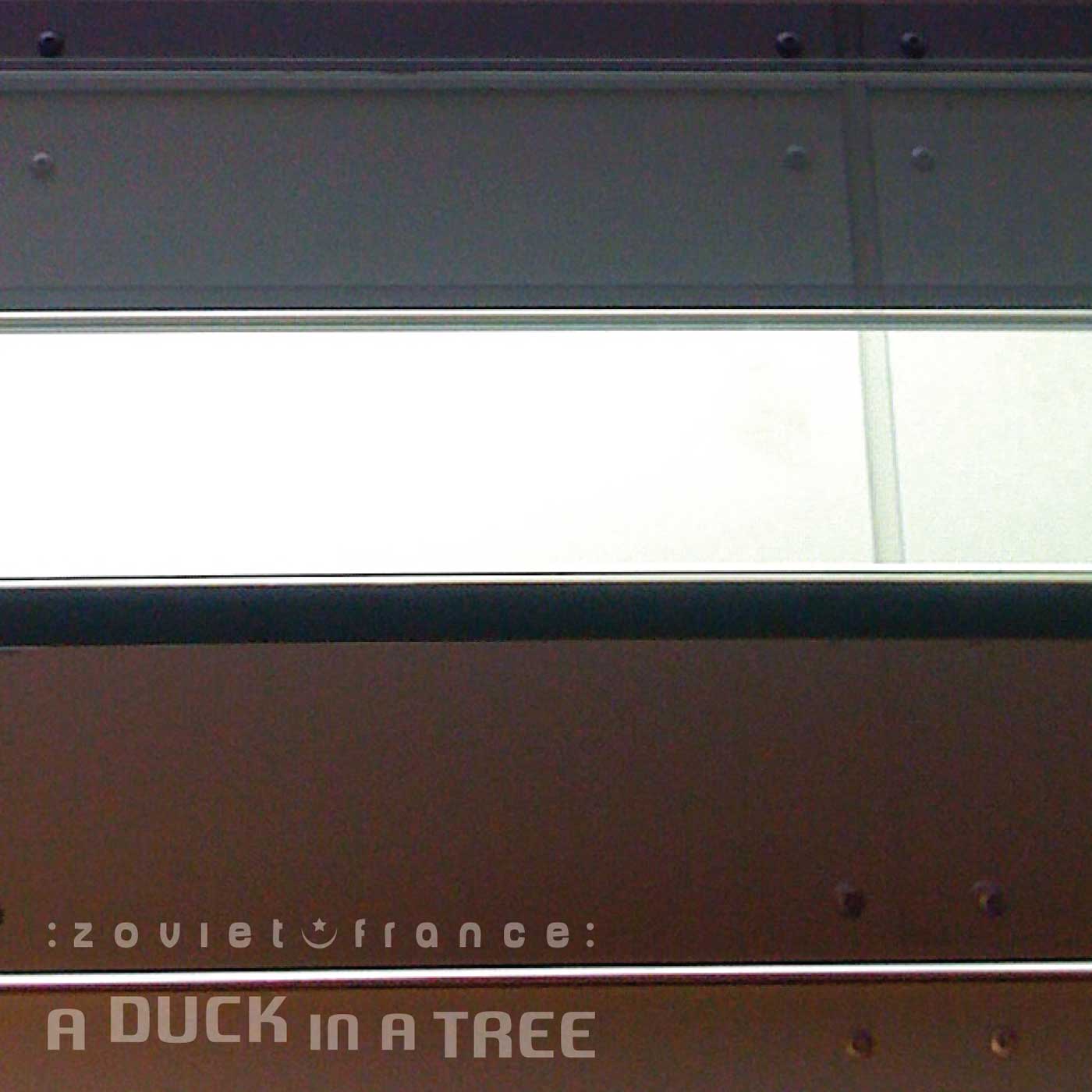 A Duck in a Tree 2014-11-22 | The Past Alternative