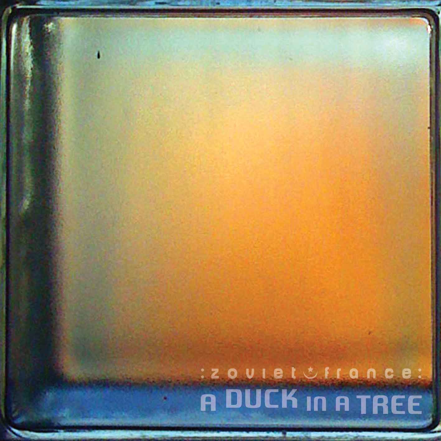 A Duck in a Tree 2014-12-06 | Put Another Way
