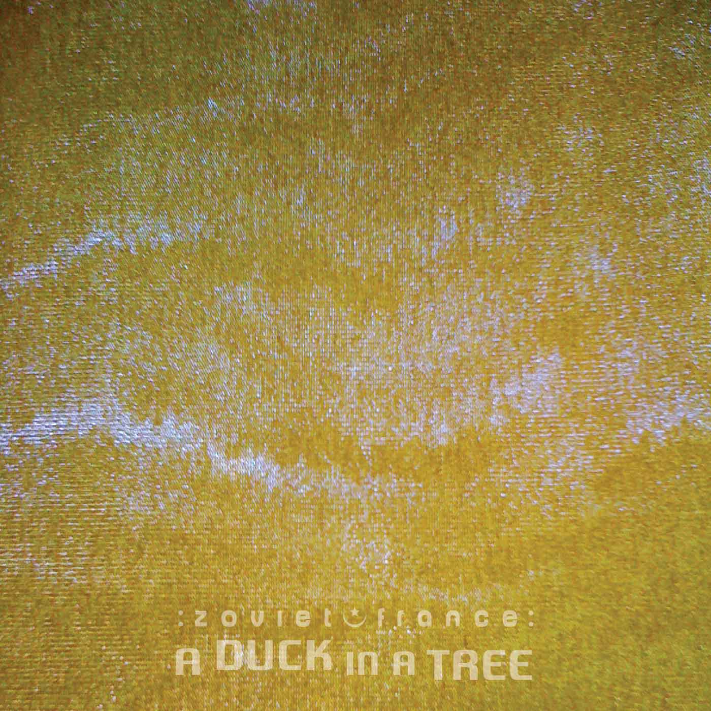 A Duck in a Tree 2014-12-20 | The Algorithm of Sleep