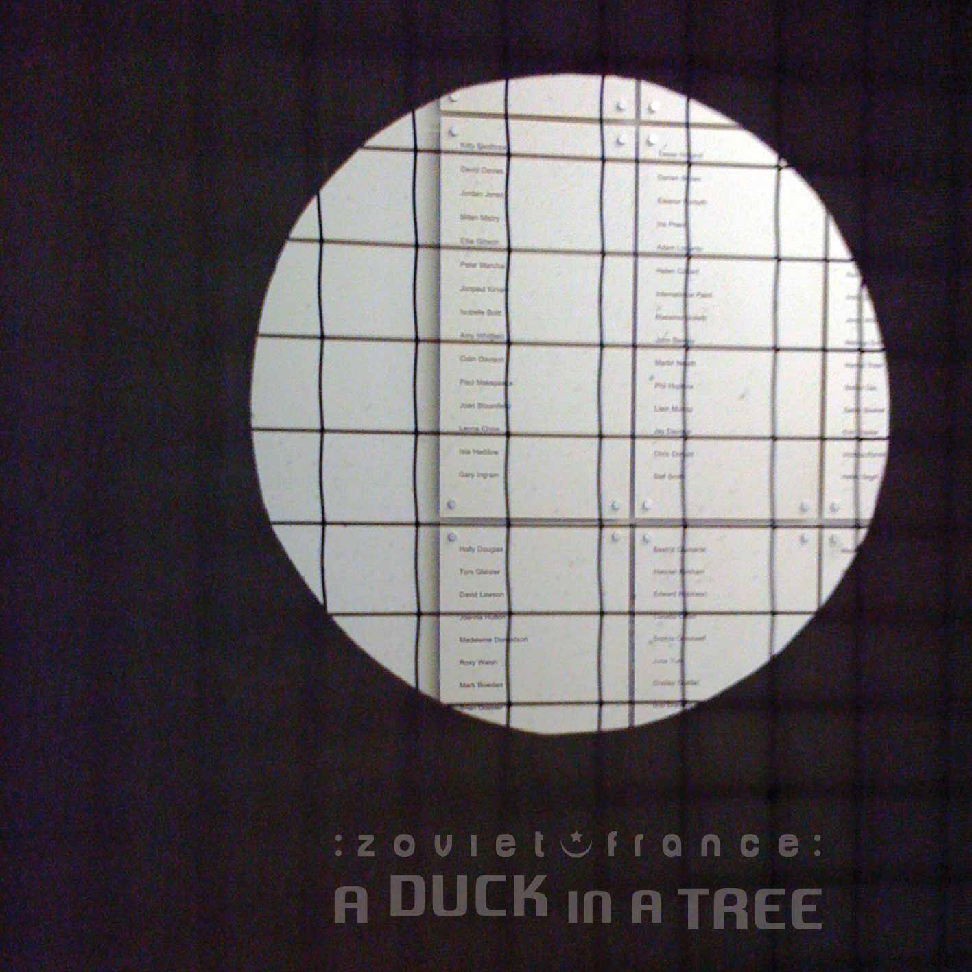 A Duck in a Tree 2014-12-27 | A Bit of a While