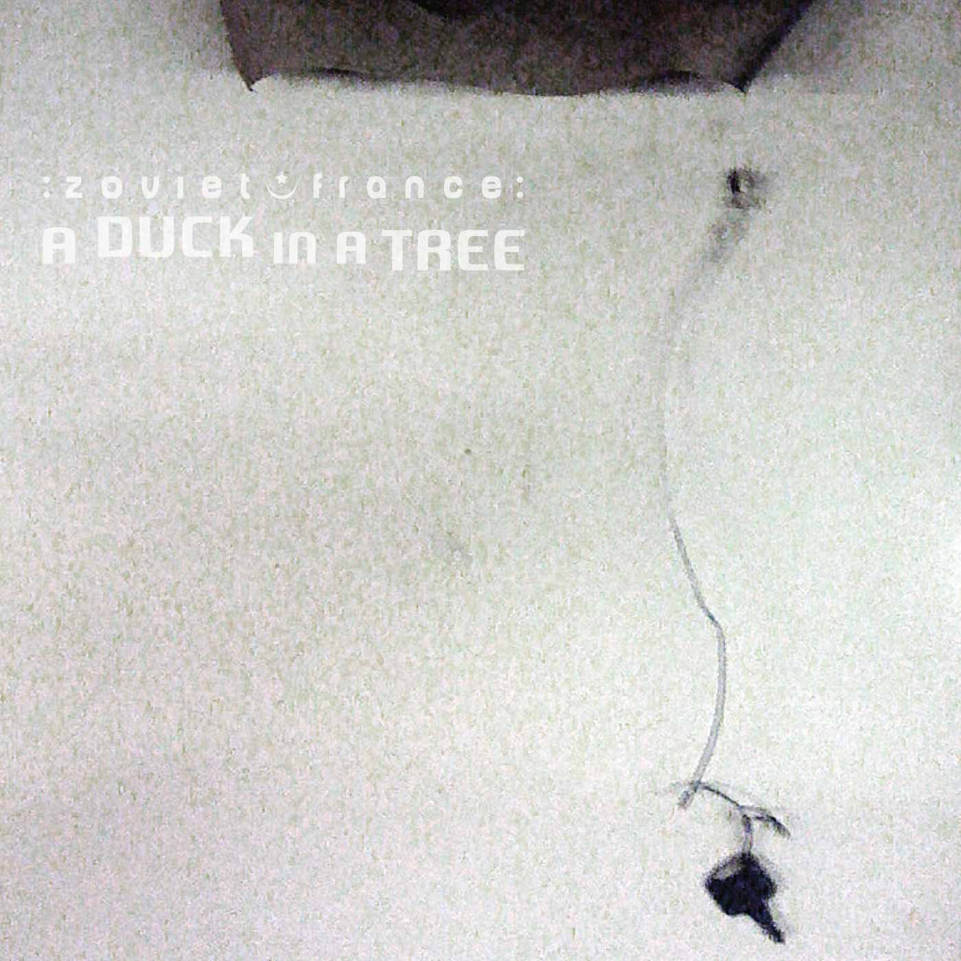 A Duck in a Tree 2015-01-03 | Cut Out and Keep