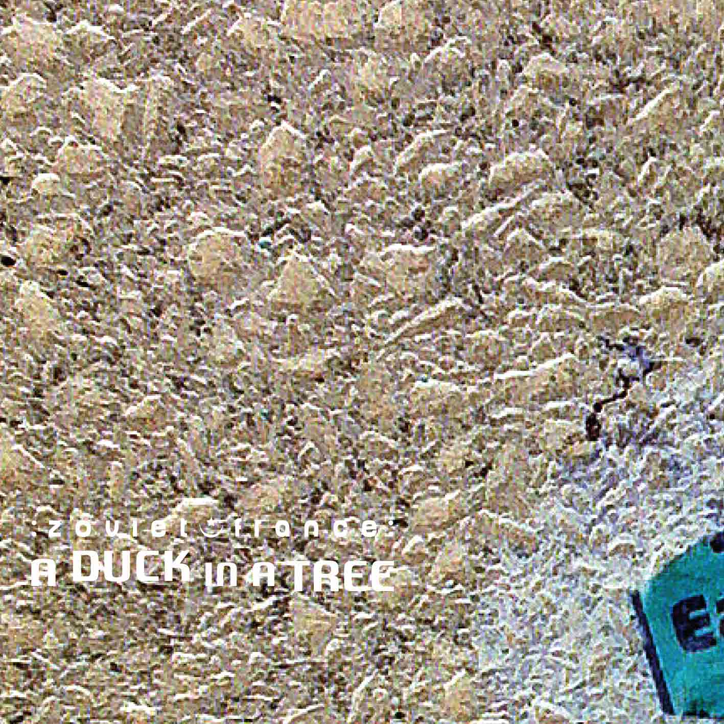 A Duck in a Tree 2015-01-17 | Thirteen Forms of Distraction