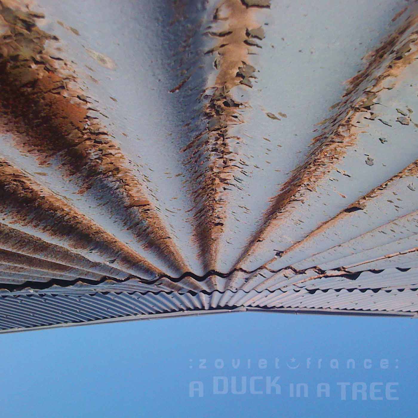 A Duck in a Tree 2015-02-14 | The Raising of the Fundament