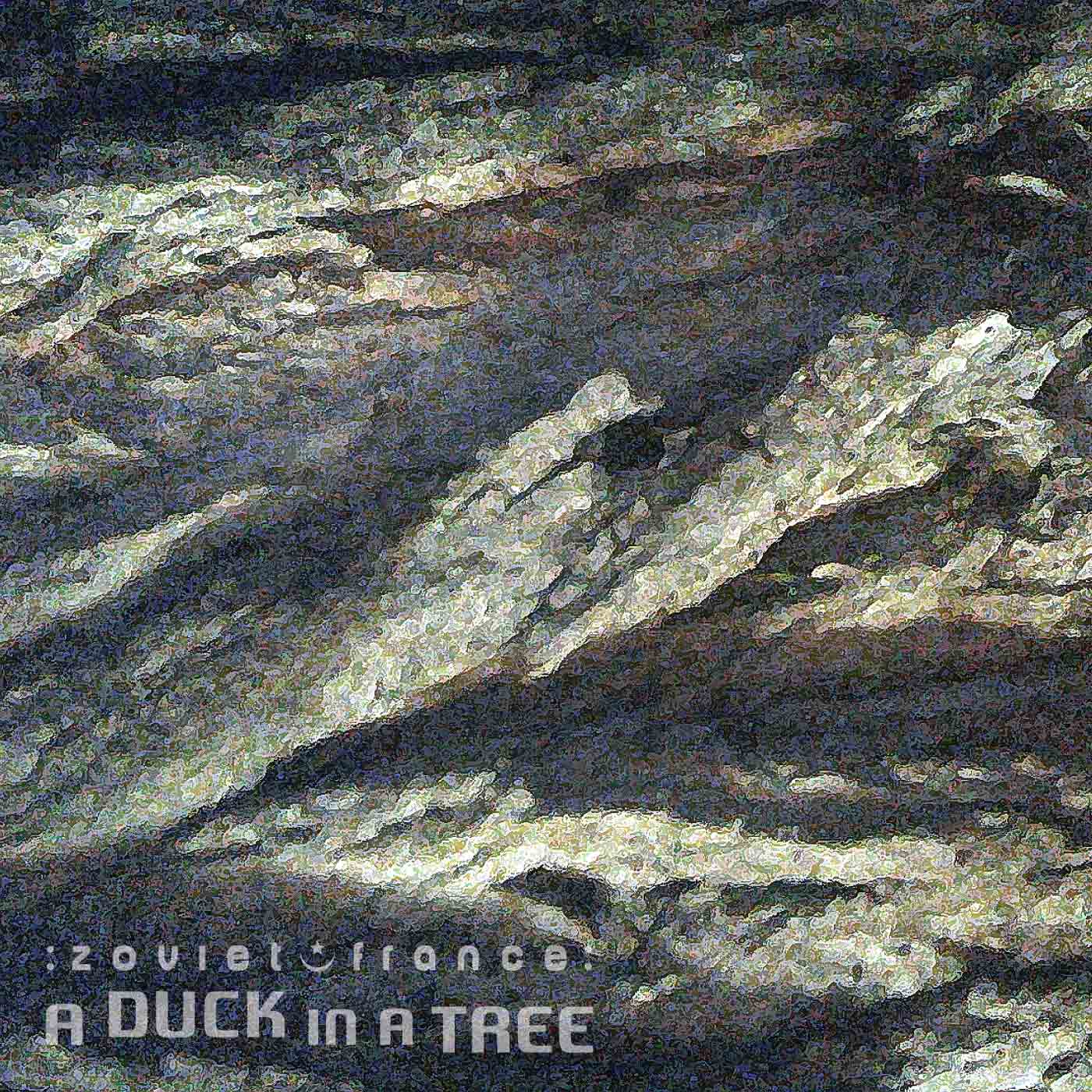 A Duck in a Tree 2015-02-28 | Between the Outskirts