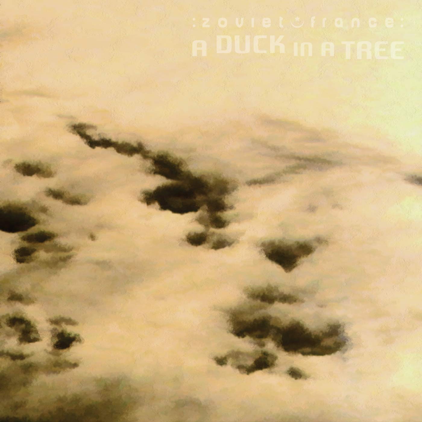 A Duck in a Tree 2015-03-14 | Be Prepared for Disarrangement