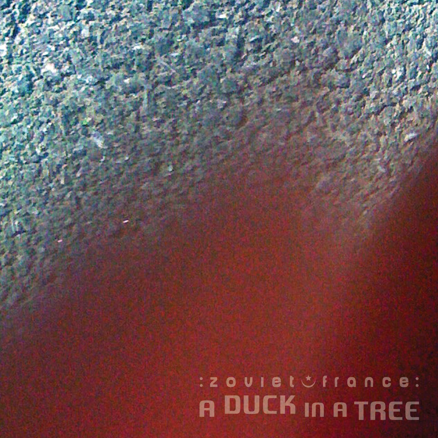 A Duck in a Tree 2015-03-21 | Gravitational Susceptibility