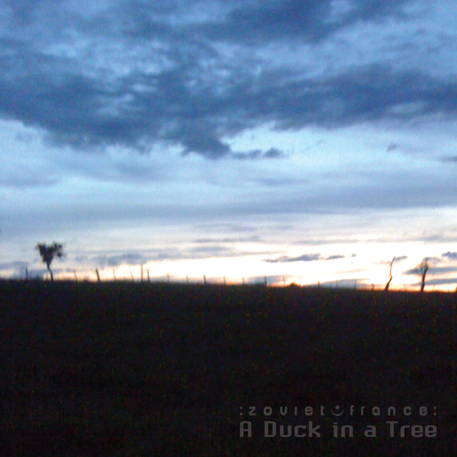 A Duck in a Tree 2018-07-21 | Under the Endlight