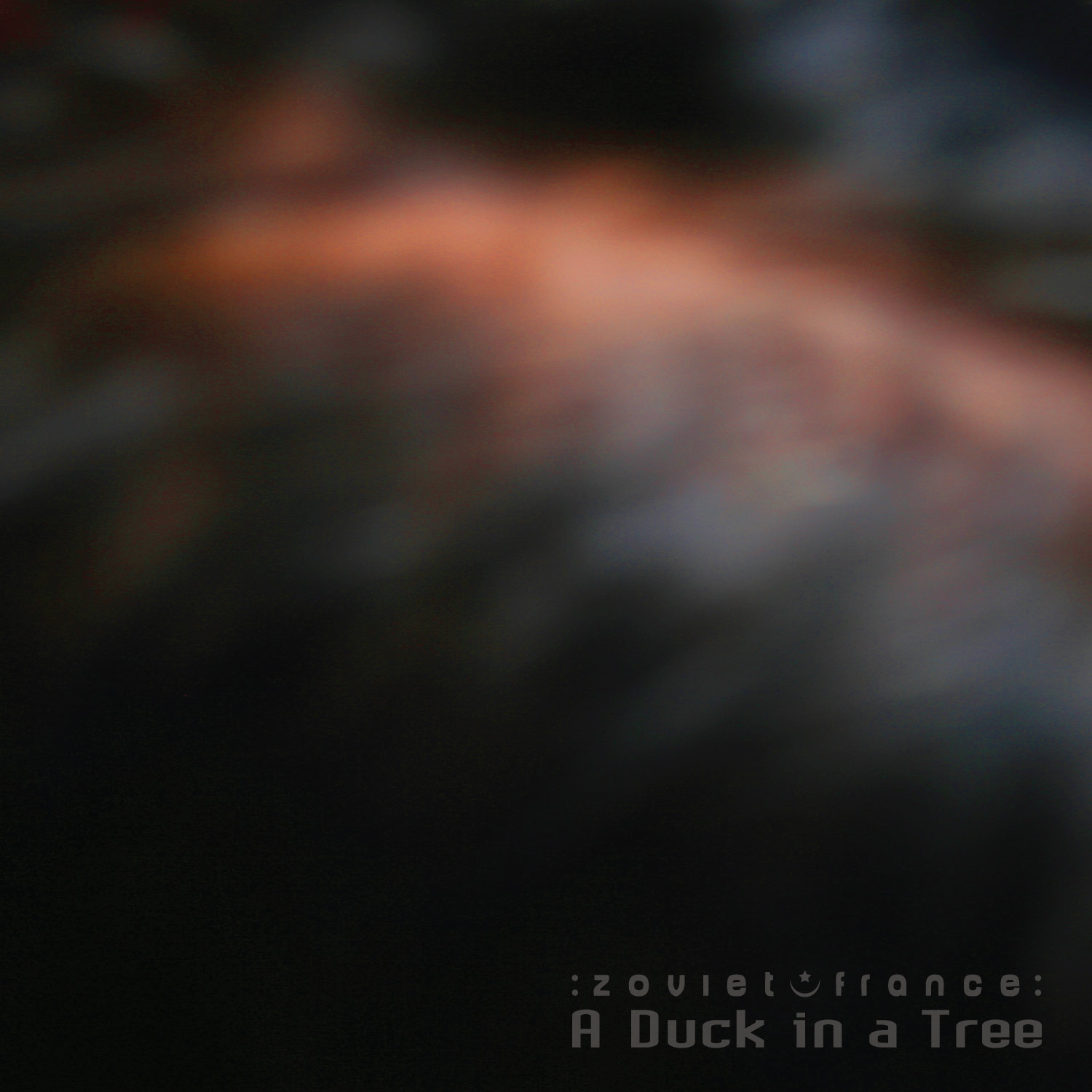 A Duck in a Tree 2018-08-04 | Art Art Primera Segunda
