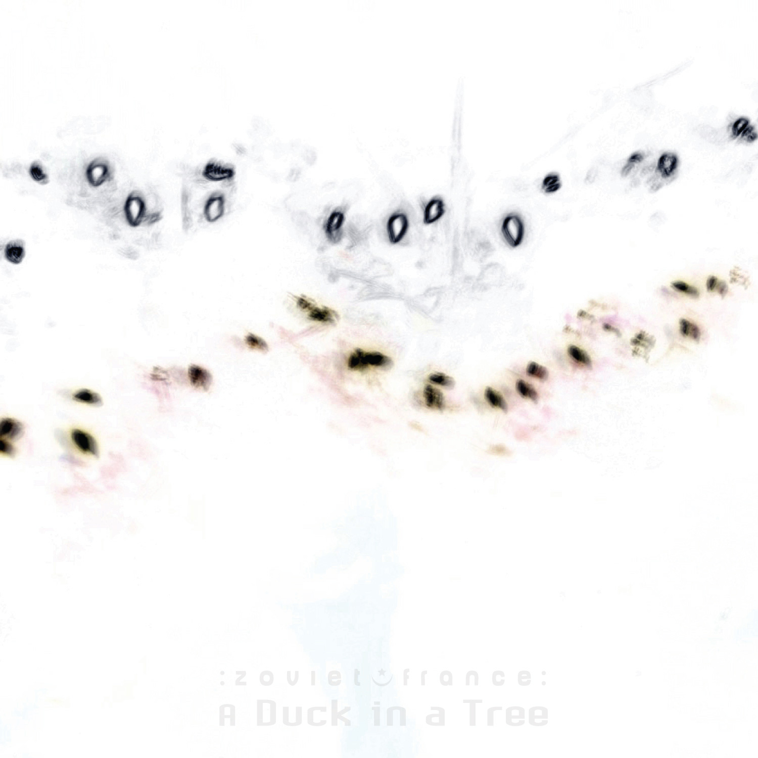 A Duck in a Tree