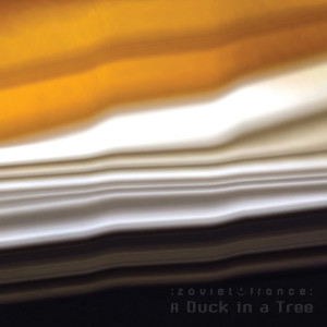 A Duck in a Tree 2018-12-01 | Hidden in Plain Sound