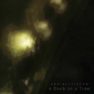 A Duck in a Tree 2018-12-15 | The Peak Below
