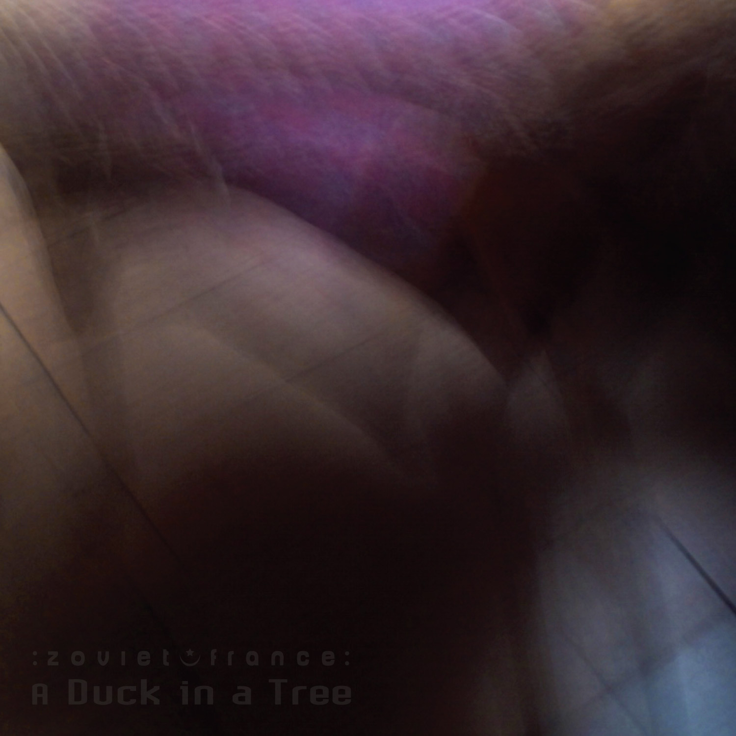 A Duck in a Tree