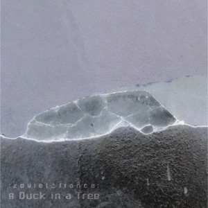 A Duck in a Tree 2019-06-22 | After These Ghosts
