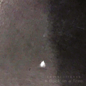 A Duck in a Tree 2019-07-13 | Peak Ending