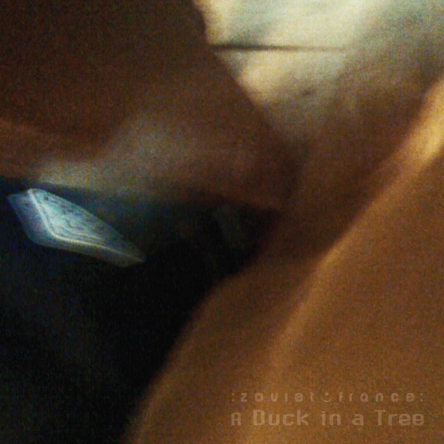 A Duck in a Tree