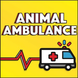 Animal Ambulance | Trolley Full Of Cat Food