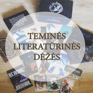 Teminės literatūrinės dėžės. Kas tai?