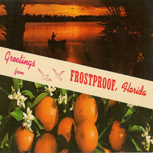 Frostproof Florida: The Name is a Lie