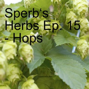 Sperb‘s Herbs Ep. 15 - Hops