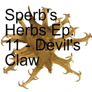 Sperb's Herbs Ep. 11 - Devil's Claw