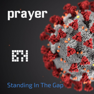 Pandemic Prayer Meeting - Standing in the Gap